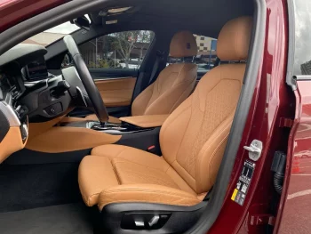 BMW Serie 5 2.0 530e G30 Premium