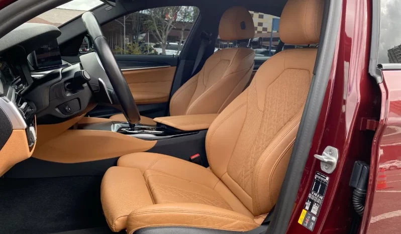 
								BMW Serie 5 2.0 530e G30 Premium completo									